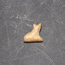 Amulet of the cat